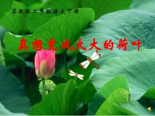 真想变成大大的荷叶课件