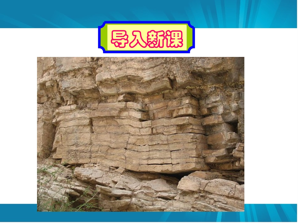 最大的“书”_第1页