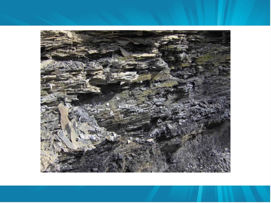 最大的“书”_第2页