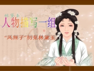 冯世声课件《人物描写一组—凤辣子初见林黛玉2》PPT课件