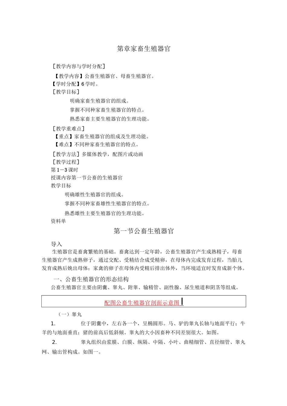 家畜的生殖器官电子教案_第1页