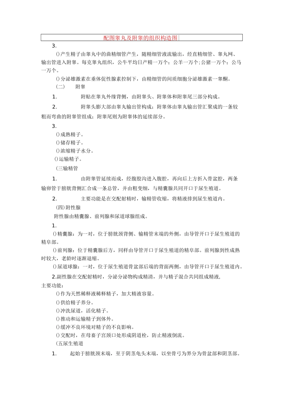 家畜的生殖器官电子教案_第2页