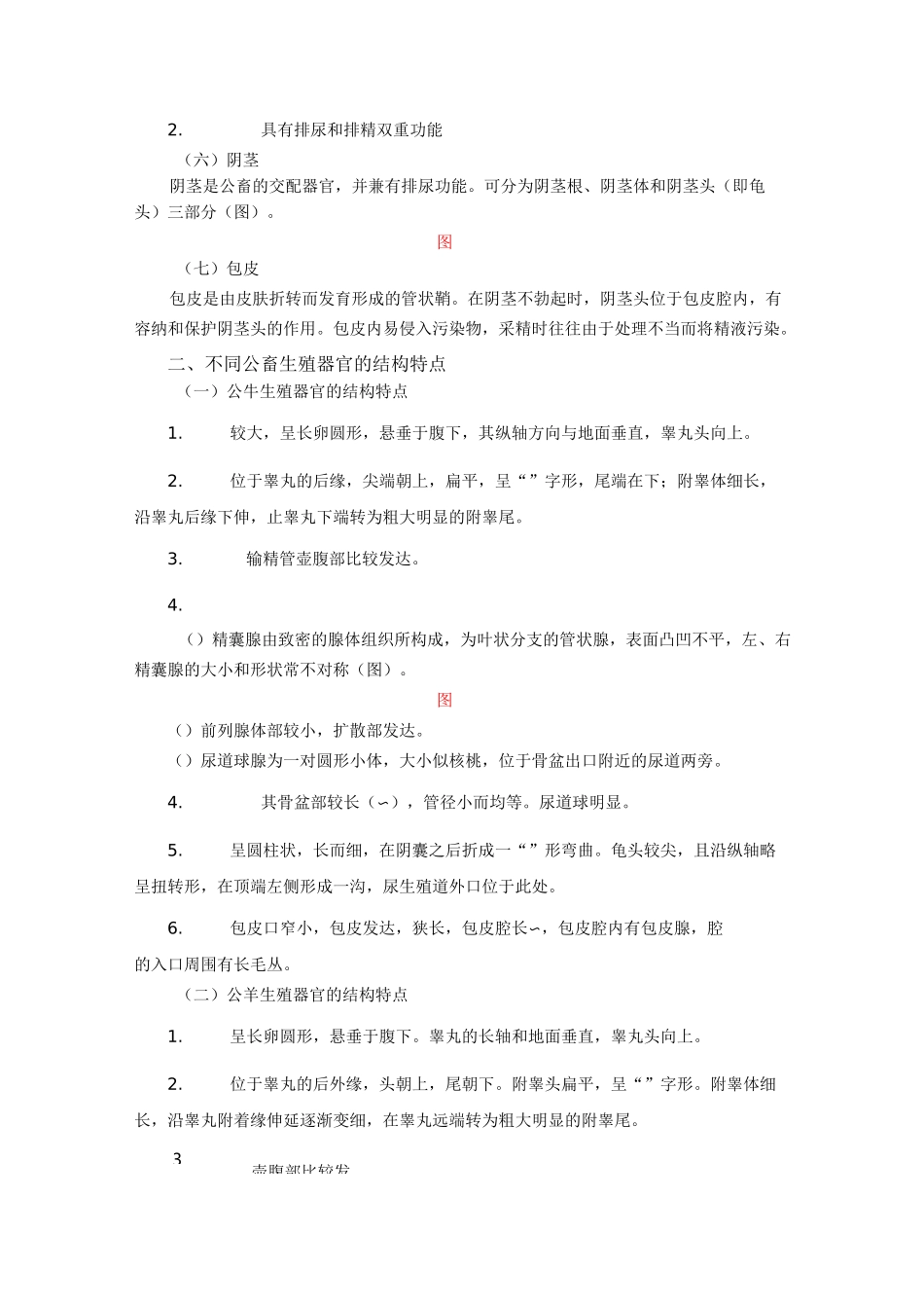 家畜的生殖器官电子教案_第3页