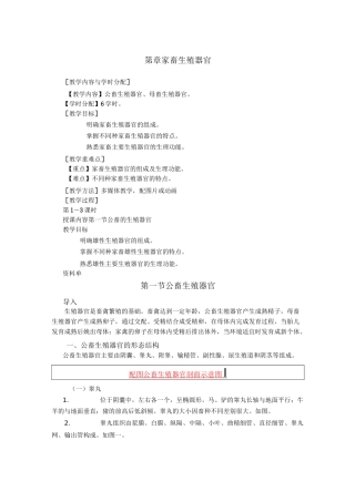家畜的生殖器官电子教案