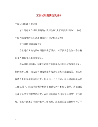 工作试用期满自我评价