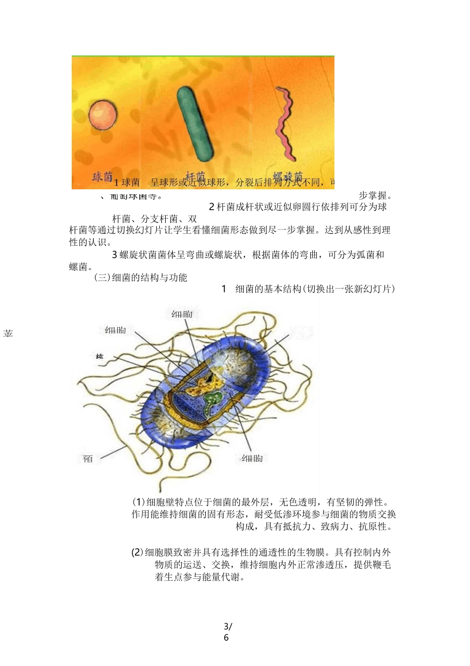细菌的形态结构教案设计_第3页