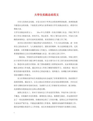大学生实践总结范文