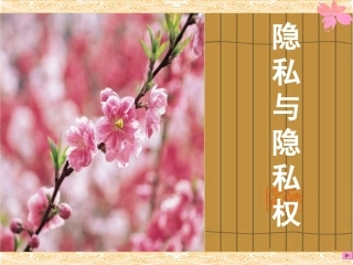 隐私和隐私权
