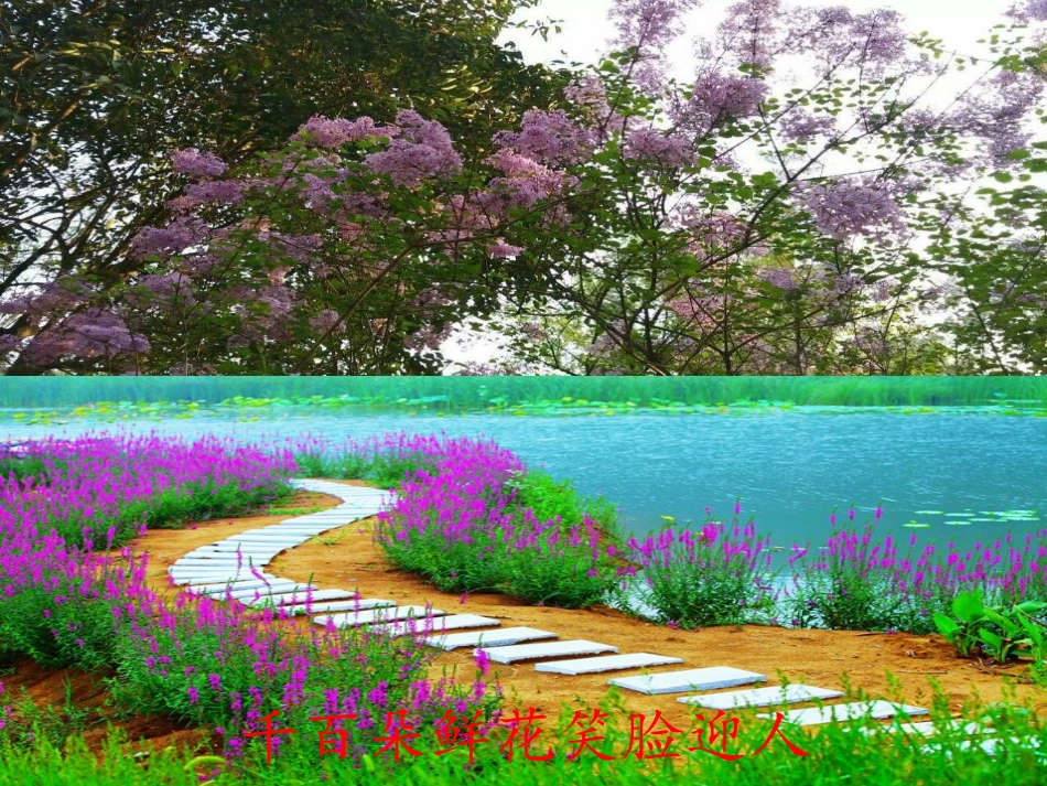 我喜欢的花课件_第3页