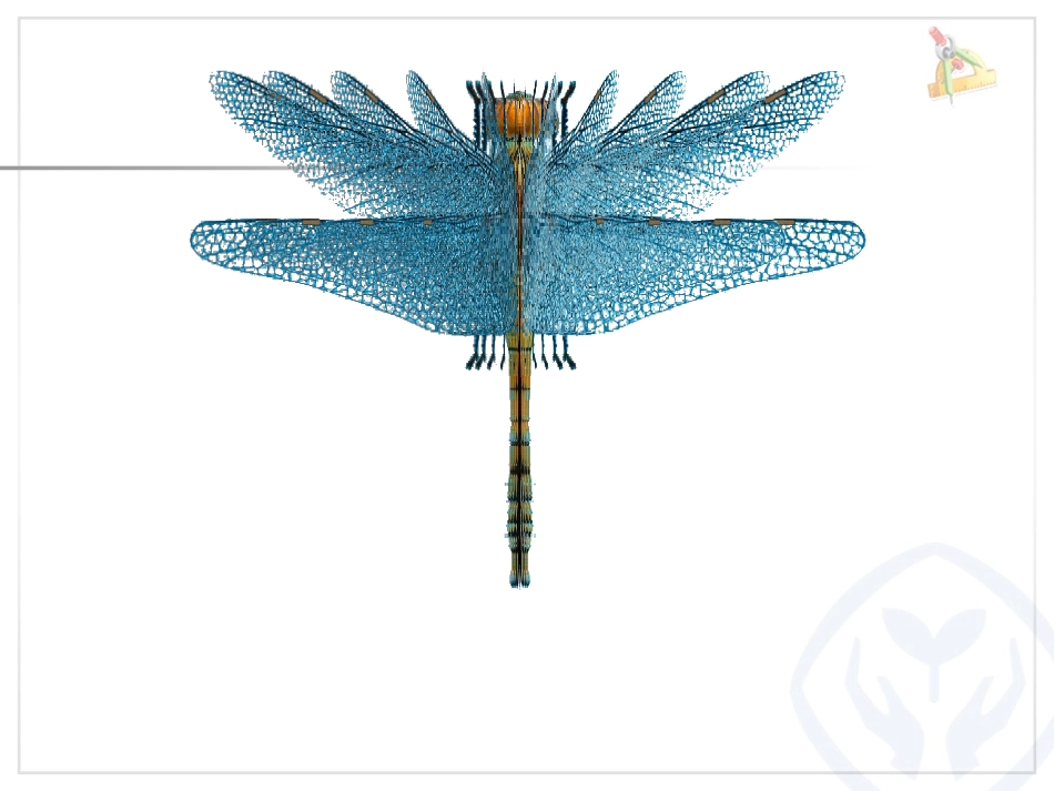 新人教版四年级下册--轴对称图形PPT (2)_第3页