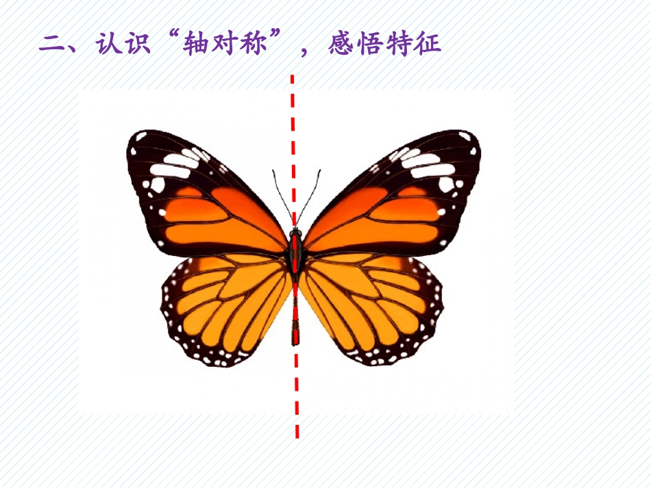 新人教版四年级下轴对称图形_第3页