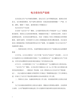 电力安全生产总结2