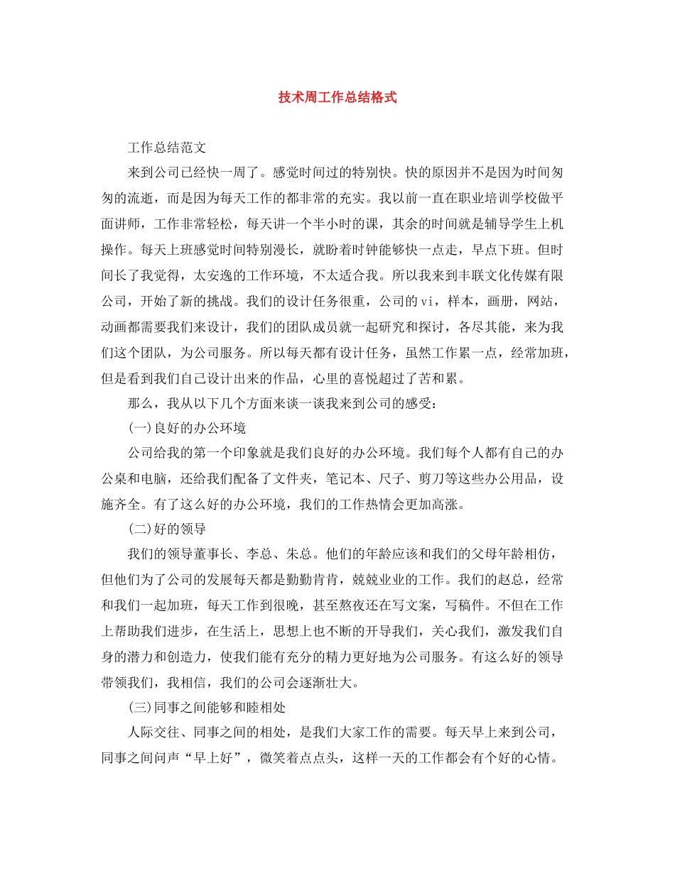 技术周工作总结格式_第1页