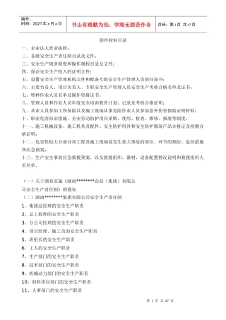 某公司安全生产责任制汇编(DOC 48页)