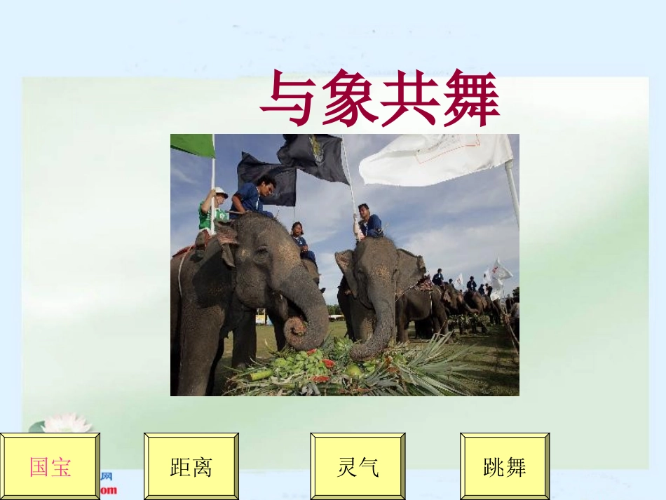 与象共舞 (2)_第1页