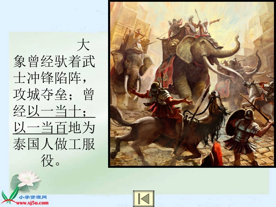 与象共舞 (2)_第3页