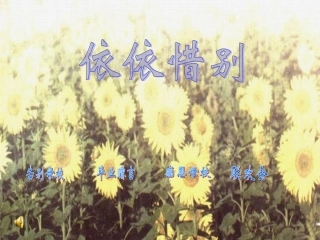 依依惜别课件