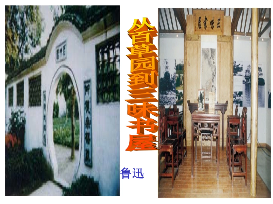 从百草园到三味书屋优秀实用课件_第2页