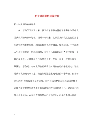 护士试用期的自我评价