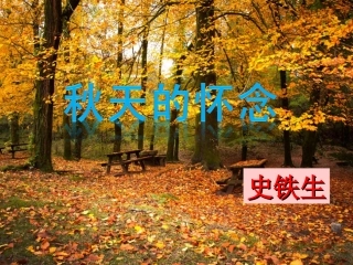 秋天的怀念课件