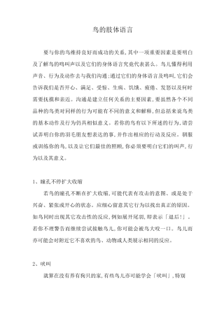鸟的肢体语言
