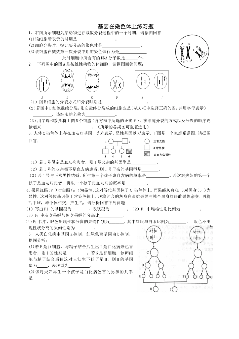 基因在染色体上练习题_第1页