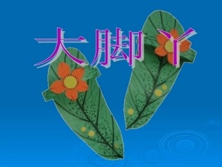 《大脚丫》课件