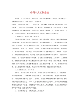 公司个人工作总结