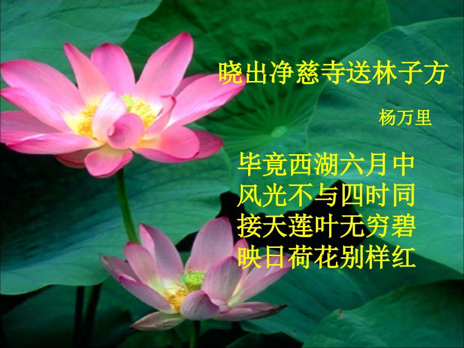 荷塘月色课件 (2)_第1页