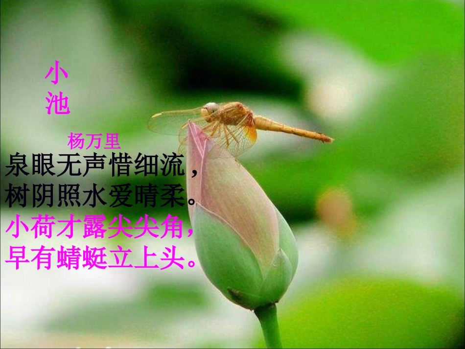 荷塘月色课件 (2)_第2页
