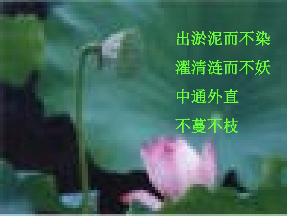 荷塘月色课件 (2)_第3页