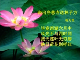 荷塘月色课件 (2)
