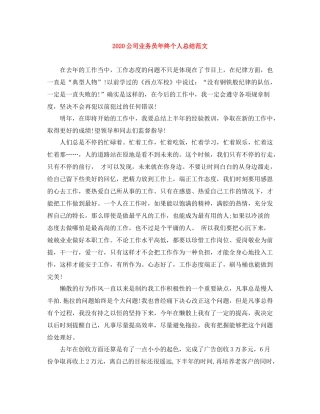 公司业务员年终个人总结范文