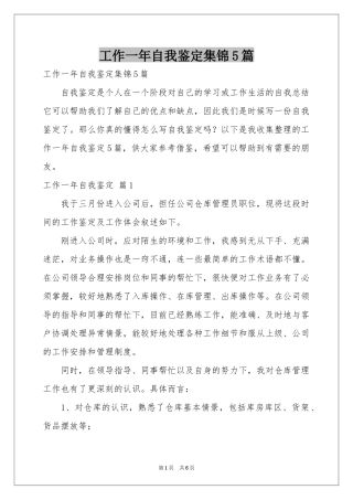 工作一年自我鉴定集锦5篇