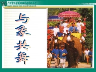 《与象共舞》课件
