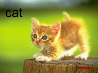 科普版三年级下第一课let'sread