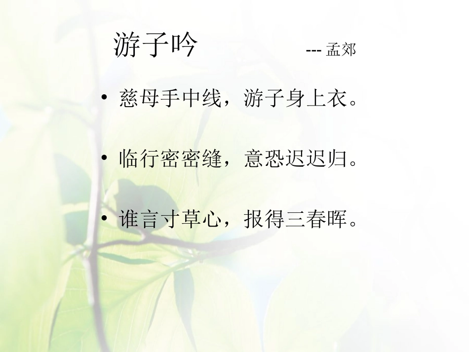 难报三春晖课改_第1页