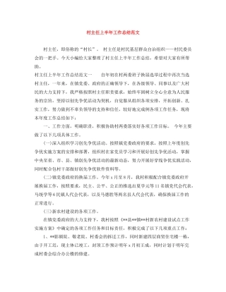 村主任上半年工作总结范文