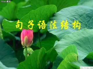 句子语法结构