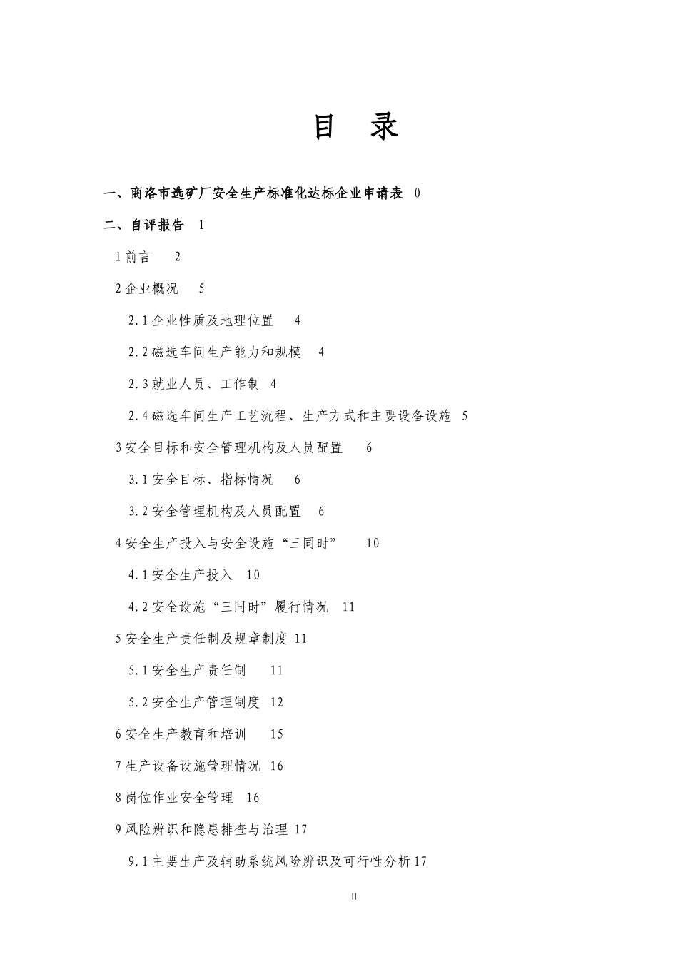 安全生产标准化自评报告_第2页