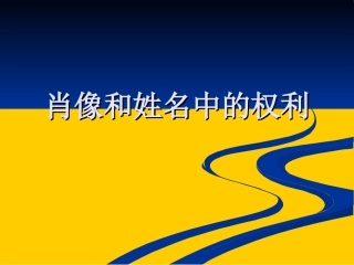 肖像和姓名中的权利 (2)