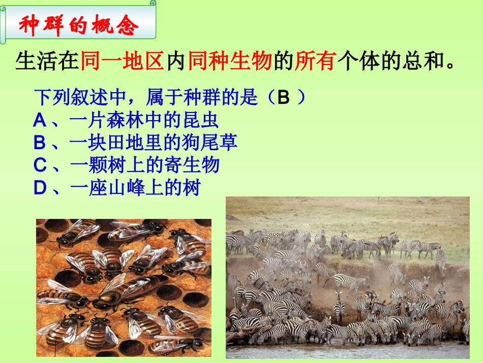 种群的特征 ()_第2页