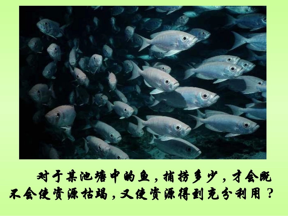 种群的特征 ()_第3页