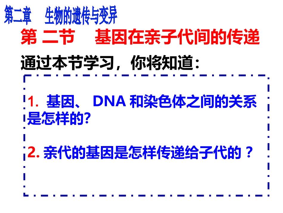 基因在亲子代间的传递_第3页
