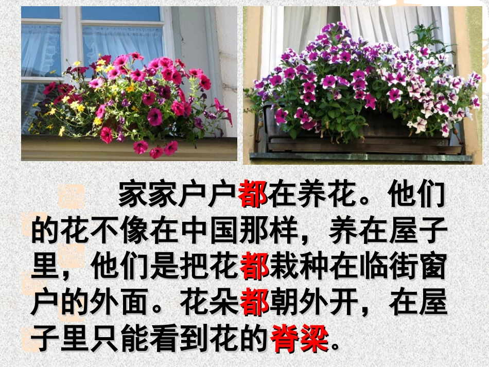 《自己的花是让别人看的》_第3页