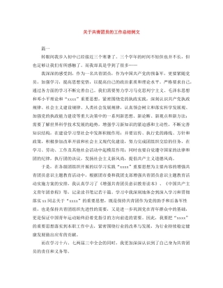 关于共青团员的工作总结例文