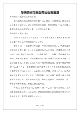 导购的实习报告范本合集五篇