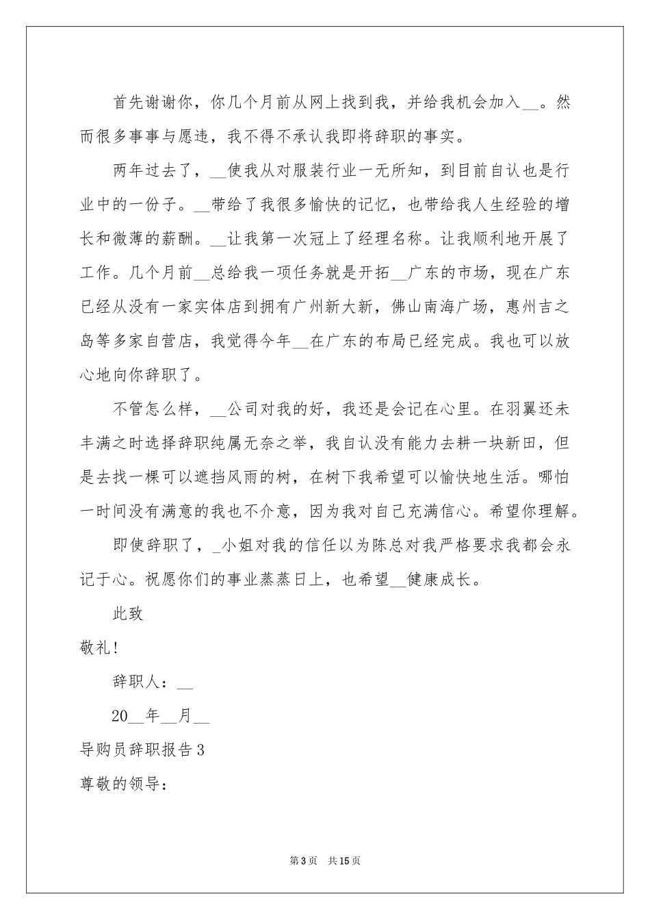 导购员辞职报告(15篇)_第3页