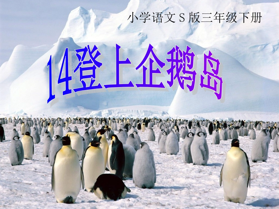 登上企鹅岛(第二课时)祥_第1页