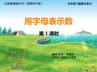 用字母表示数 (3)